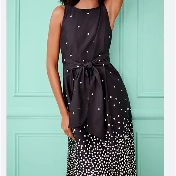 Ann Taylor Factory Polk A Dot Midi Dress - Picture 3 of 13